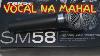 Demo Shure Sm 58 Microphone