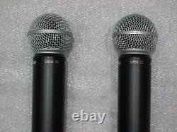 Shure BLX288 SM58 wireless microphones with flight case